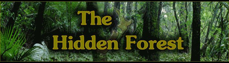 Hidden Forest Logo